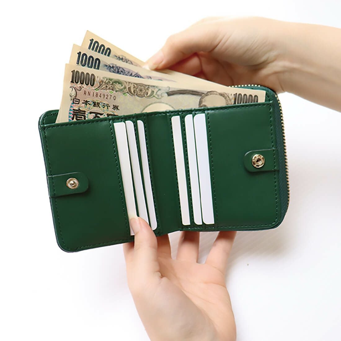 GLウォレット 蛇腹式折財布＜リトルノ コンパクト＞