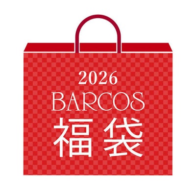 2wayハンドバッグ福袋＜豪華4点セット＞